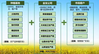 金友米業(yè)會員項目 打造國內(nèi)領(lǐng)先的生態(tài)農(nóng)產(chǎn)品服務(wù)與信息咨詢平臺
